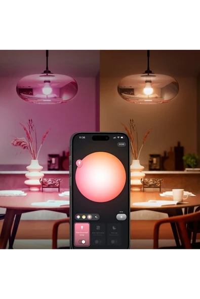 Philips Hue Essential 8W E27 806 Lumen Renkli Akıllı Ampul A60 - Resim 5