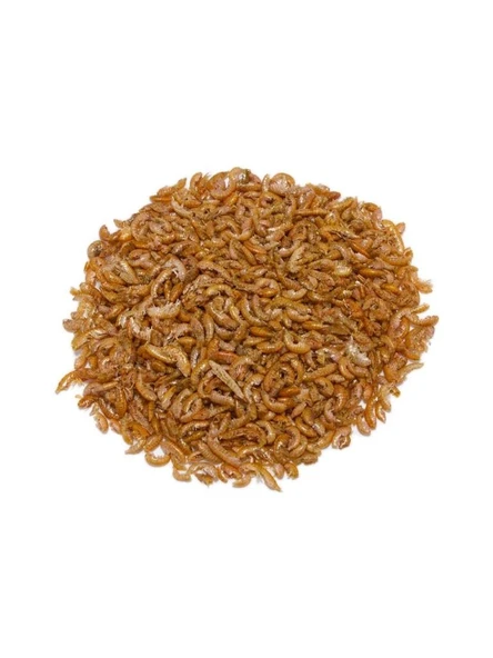 NetX Kurutulmuş Karides 25 Gr Kaplumbağa ve Balık Yemi  ( Gammarus)  Ürünümüz A kalitedir Skt:11/2028 ürün görseli 1