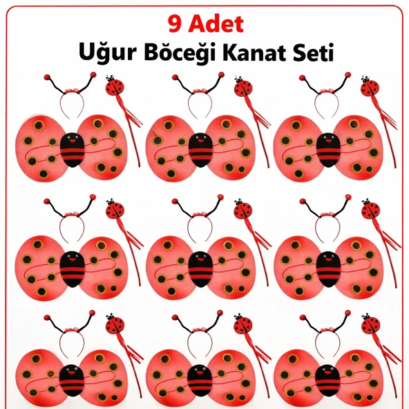 9’lu Uğur Böceği Ateş Böceği Kostüm Seti – Kanat Taç Asa ürün görseli 1