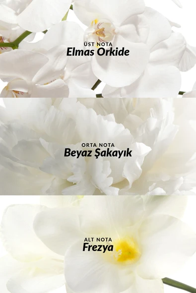 Incandessence Kadın Roll On 50 Ml. - Resim 3