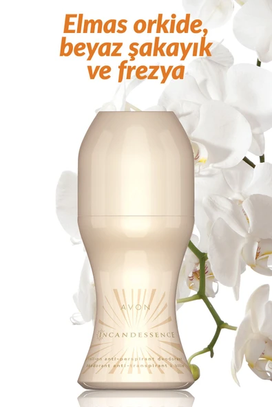 Incandessence Kadın Roll On 50 Ml. - Resim 2