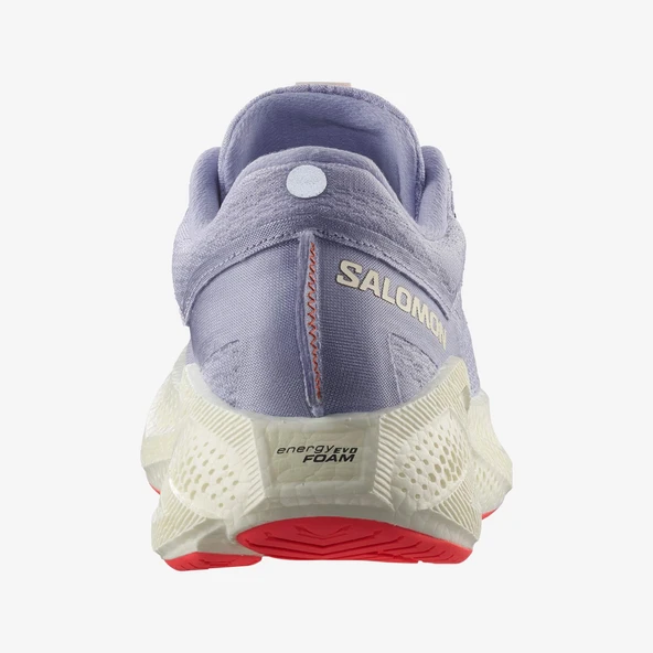 SALOMON AERO GLIDE 3  477594 - Resim 2