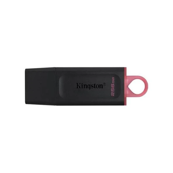 Kingston 256 GB Dt Exodıa DTX/256GB Usb 3.2 ürün görseli 1