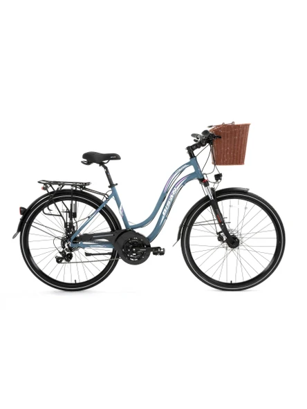 Bisan CTX 6300 28 Jant 21 Vites Kadın Şehir Bisikleti Disk Fren Gri Pembe 46 Cm Kadro ürün görseli 1