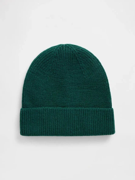 Gap 791205002 V-Cozy Ribbed Erkek Bere ürün görseli 1