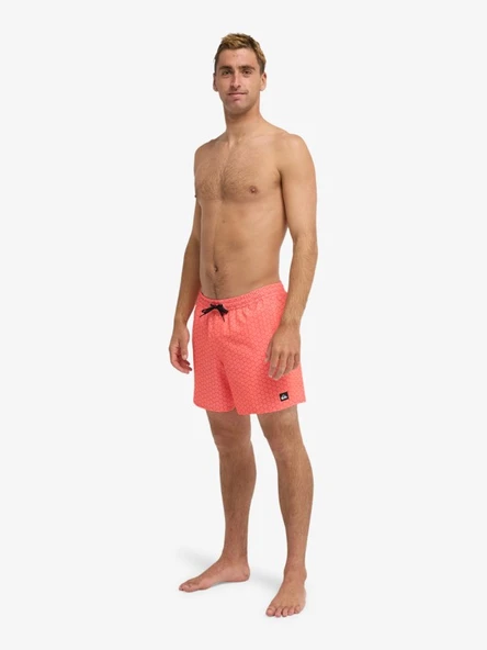 Quiksilver Stretch Printed Volley 16" (Eqyjv04021) Erkek Deniz Şortu ürün görseli 1