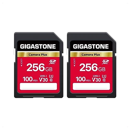 GIGASTONE 256 GB SDXC hafıza kartı 2'li paket, Camera Plus, Canon dijital kameralar için 100 MB/s'ye kadar, 4K UHD video kayıtları UHS-I U3 V30 Sınıf 10, 2 mini kılıfla ürün görseli 1