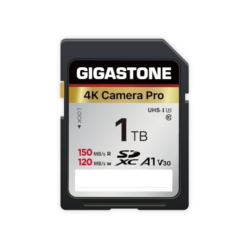 GIGASTONE 1 TB SDXC hafıza kartı, 4K Camera Pro, 150/120 MB/s'ye kadar, Canon, Olympus, Panasonic, A1 V30 U3 UHS-I Sınıf 10 dijital kamera için, 1 mini çantayla birlikte ürün görseli 1