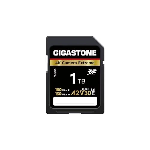 GIGASTONE 1TB SDXC Hafıza Kartı 4K Kamera Extreme, Canon Olympus Dijital Kameralar için 160/130MB/s'ye kadar A2 V30 U3 UHS-I Sınıf 10, 1 Mini Kılıf ile ürün görseli 1