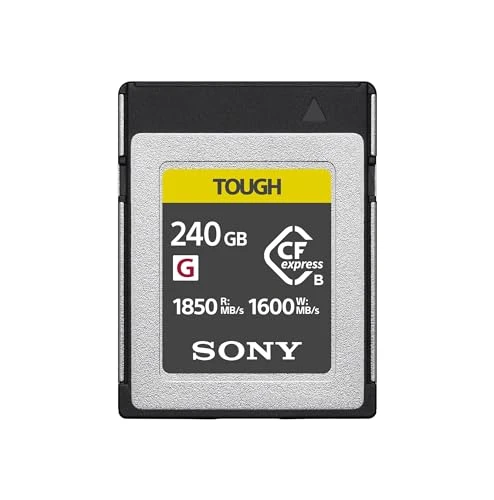 Sony CFexpress Type B 240 GB Sağlam (CEBG240T) - son derece hızlı (1850 MB/s'ye kadar okuma, 1600 MB/s'ye kadar yazma), ultra sağlam, profesyonel fotoğraf ve video kayıtları için mükemmel ürün görseli 1