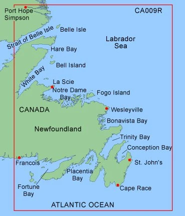 Garmin 010-C0008-00 YAZ, BLUECHART, NEWFOUNDLAND ürün görseli 1