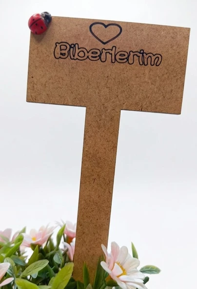 Nar Atölye 10'lu Ahşap Tohum Etiketi Seti - 3mm MDF Bitki İsimliği ve Saksı İşaretleyici - 5 Yazılı 5 Boş ürün görseli 1