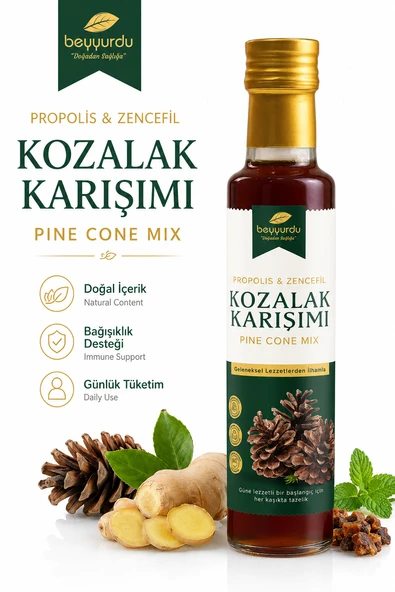 Zencefilli Propolisli Kozalak Şurubu Beyyurdu Bağışıklık Destekleyici Karışım ürün görseli 1