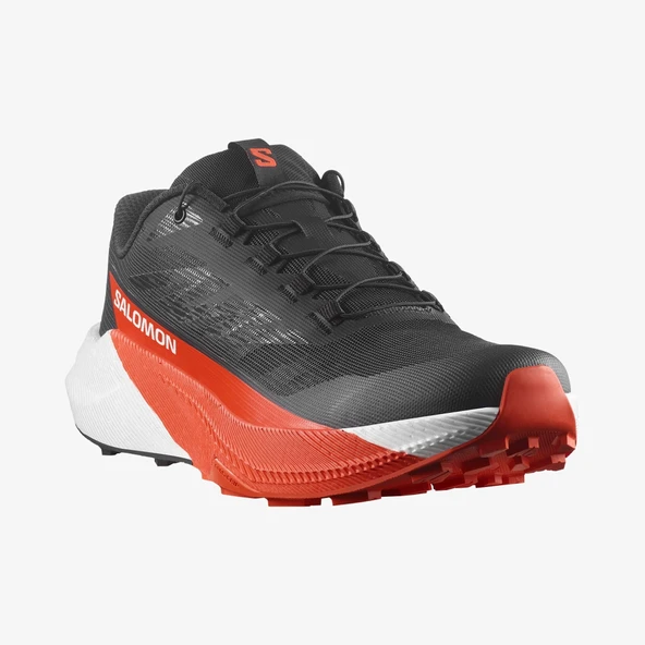 SALOMON PULSAR   479754 - Resim 2