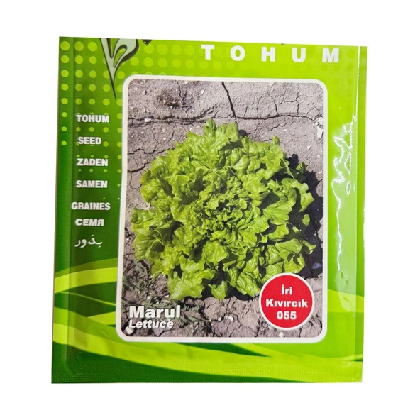 1001Naturel İri Kıvırcık Marul Tohumu İri Kıvırcık 055 İlaçlı Marul Tohumu 10 Gram ürün görseli 1