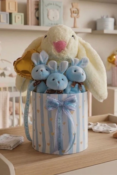 Özel Kutuda Uyku Arkadaşı Bunny Peluş Tavşan ile Erkek Yeni Doğan Hediye Seti | Babyshower, Yenidoğan Hediyesi ürün görseli 1