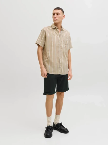 Jack Jones Trıck Dylan Orıgınal Regular Fit Erkek Şort 12288485 - Resim 2