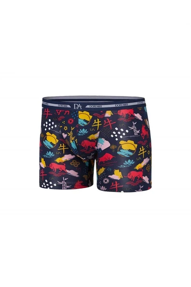 Doreanse 1849 Erkek Boxer - Resim 2