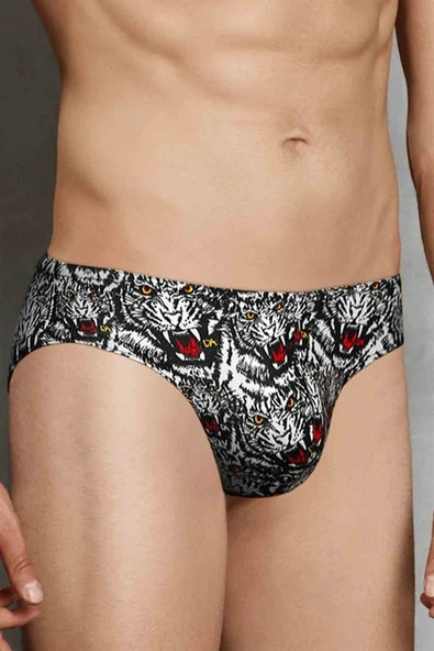Doreanse 1337 Erkek Slip - Resim 2