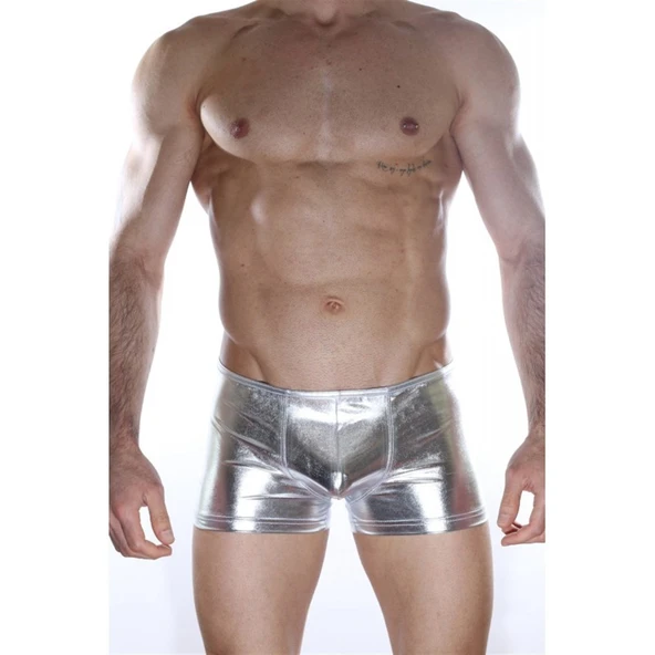 Arkası Fermuarlı Boxer - Resim 2