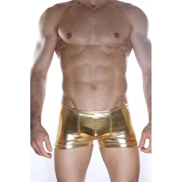 Arkası Fermuarlı Boxer - Resim 2