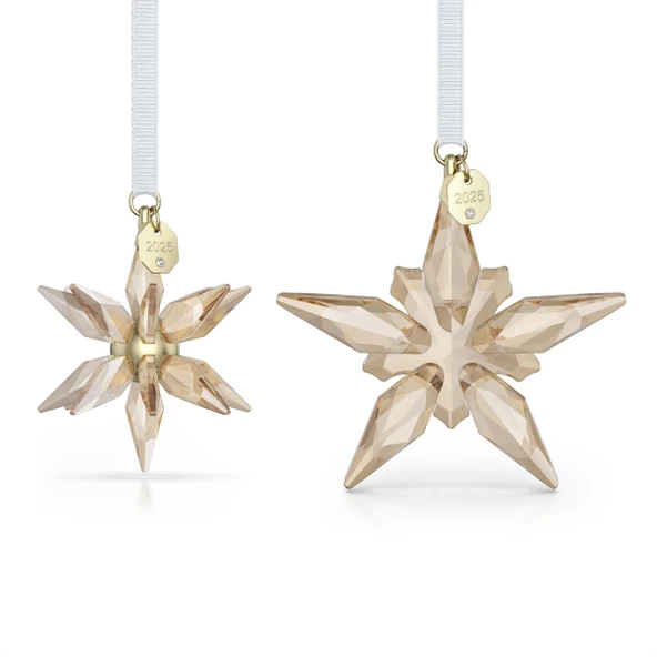 5701824 Swarovski Ev Dekorasyonu Annual Edıtıon:Ornament Set Festıve3D 25 ürün görseli 1