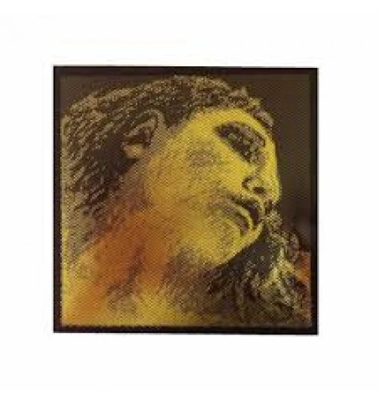 Pirastro 415421 Evah Pirazzi Gold G (Sol) Tek Keman Teli | Altın Kaplama ile Sıcak Baslar, Güçlü Ses Gücü, Soloist Standart ürün görseli 1