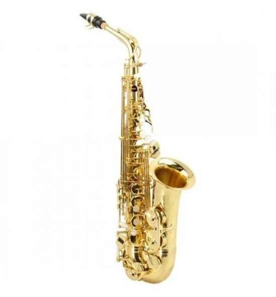 Roy Benson RB700601 Alto Saksafon As202 | Üstün Malzeme Kalitesi, Profesyonel Tasarım, Yüksek Performanslı Kullanım ürün görseli 1