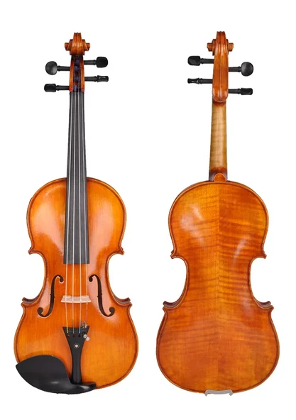 Picaldi VH400VA 4/4 Advanced Yağ Cilalı Keman | Premium Yağlı Cila, Sıcak ve Kadifemsi Tonlar, Profesyonel Performans Serisi ürün görseli 1