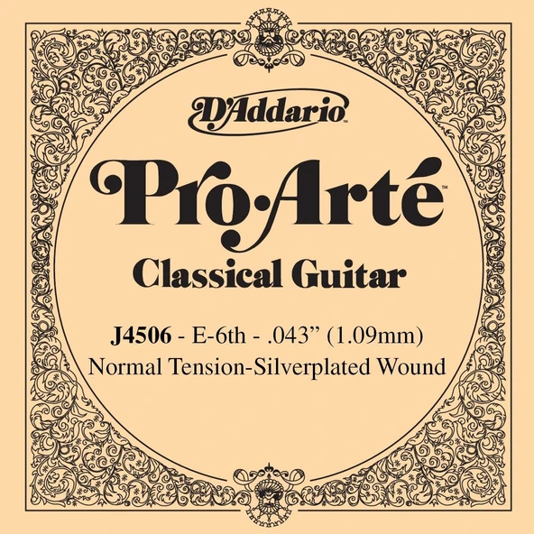 D'Addario J4506 Pro-Arte Klasik Gitar Tek Teli - E/Mi Notası (Aksesuar) | Normal Tansiyon (Normal Tension), Gümüş Kaplama Sargı ve Berrak Ton Karakteri ürün görseli 1