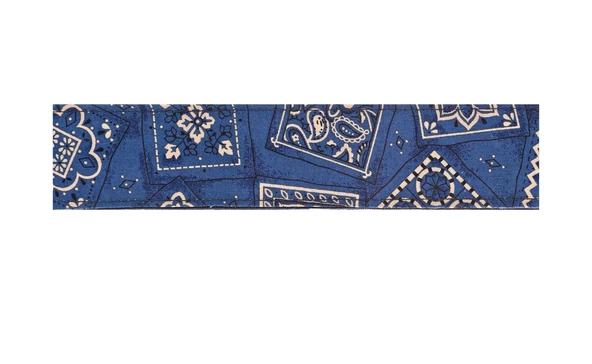 Planet Waves 50G03 Gitar Askısı Mavi Bandana (5 cm) | Paisley Desen - Klasik Rock - Şık ürün görseli 1