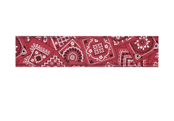 Planet Waves 50G02 Gitar Askısı Kırmızı Bandana (5 cm) | Paisley Desen - Klasik Rock - Şık ürün görseli 1