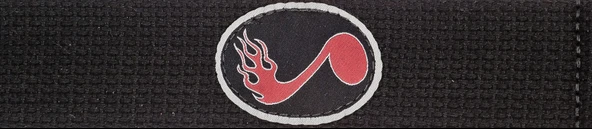 Planet Waves 50CTP01 Pamuklu Gitar Askısı Patch Flaming Note | %100 Pamuk - Yama Desen - Rahat ürün görseli 1