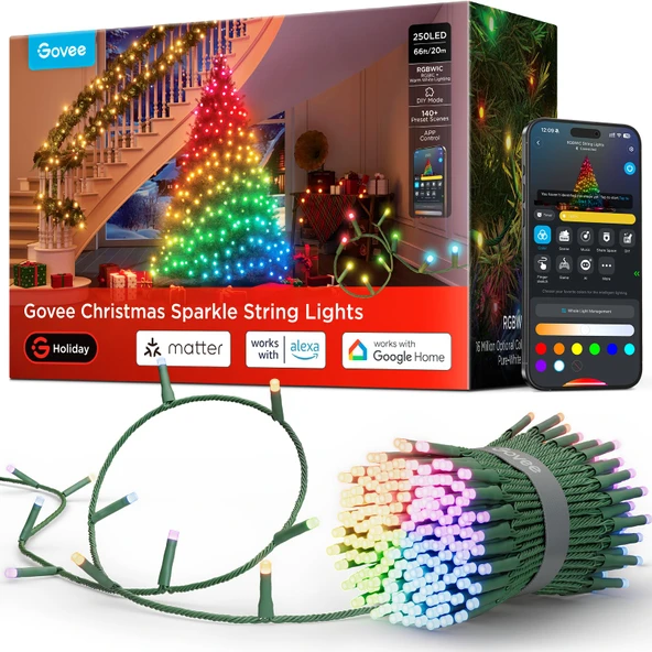 Govee Christmas Sparkle String Lights 66ft, RGBWIC String Lights with 250 Bullet-Head LEDs, App-Controlled, 140+ Sahne Modus, 3D Shape Mapping, Music Sync, Works with Alexa,Kapalı Dekorasyonları ürün görseli 1