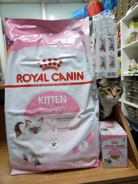 Royal Canin Kitten Yavru Kedi Maması 10 Kg+12 Adet Royal Kitten Yaş Mama 85 Gram ürün görseli 1