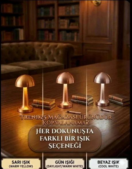 Dekoratif Lamba 3 Renk Şarjlı Masa Lambası ürün görseli 1