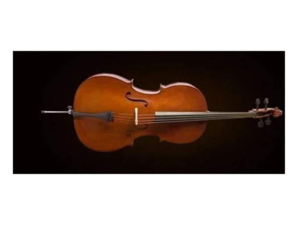 Valencia CE160G44 4/4 Tam Boy Çello Seti (Başlangıç Seviye) | Alman Stili Tasarım, Ladin Üst Kapak, Kılıf ve Yay Dahil Ekonomik Öğrenci Paketi ürün görseli 1