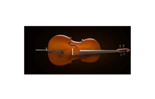 Valencia CE160F44 Çello 4/4 French Style (Öğrenci) | Başlangıç Seti - Kılıf ve Yay Dahil - Parlak ürün görseli 1