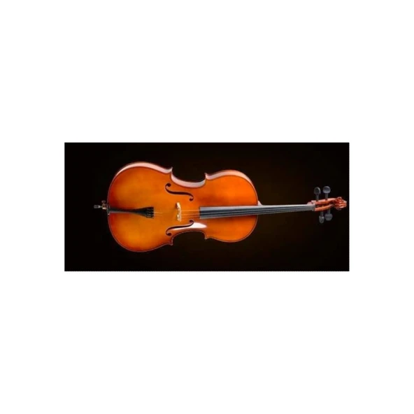Valencia CE400F44 Çello 4/4 French Style | Kutu ve Yay Dahil - Parlak Cila - Net Ton ürün görseli 1