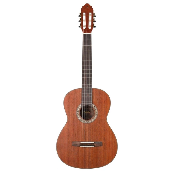 Valencia CGLTD2 Klasik Gitar Limited 2 (Mat) | Özel Seri - Doğal Dokunuş - Sıcak Ses ürün görseli 1