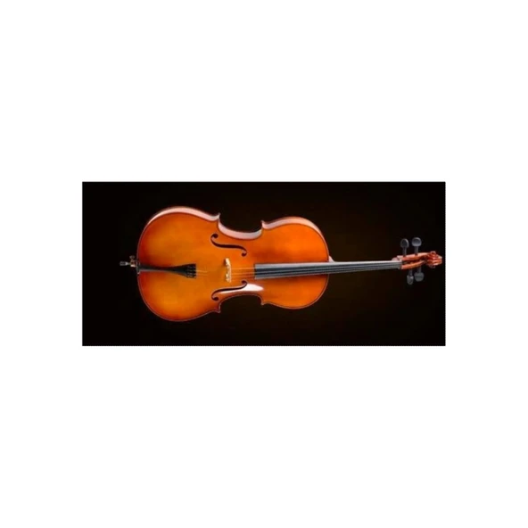 Valencia CE400G44 Çello 4/4 German Style | Kutu ve Yay Dahil - Antik Cila - Zengin Ses ürün görseli 1