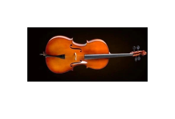 Valencia CE400G14 Çello 1/4 German Style | Küçük Yaş - Kutu ve Yay Dahil - Öğrenci Seti ürün görseli 1