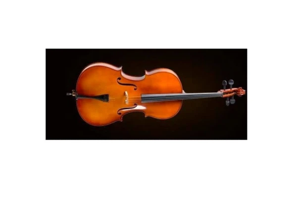 Valencia CE400G12 Çello 1/2 German Style | Orta Boy - Kutu ve Yay Dahil - Dengeli ürün görseli 1
