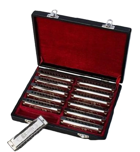 Valencia HM1020-12 Mızıka Seti (12'li) | Farklı Tonlar - Okullar İçin Toplu Set - Kutulu ürün görseli 1