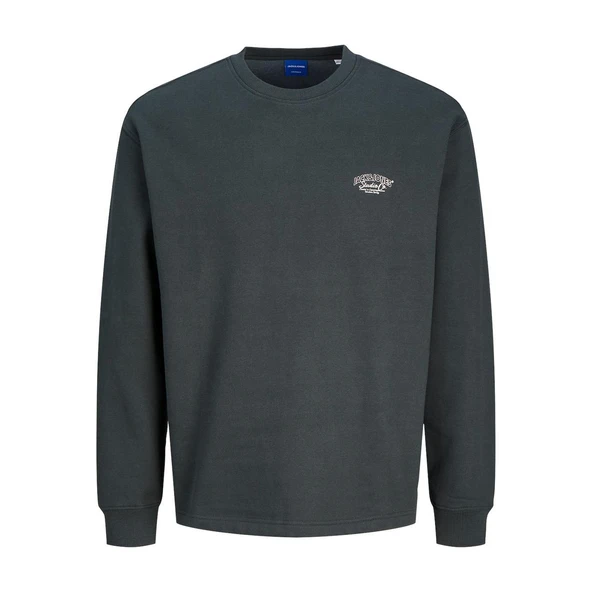 Jack & Jones 12262880 Jorbronx Arch Small Sweat Crew Neck Füme ürün görseli 1