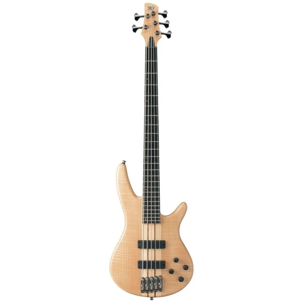 Ibanez SR1005EFMNTF SR Serisi Bas Gitar (5 Telli - Çantalı) ürün görseli 1