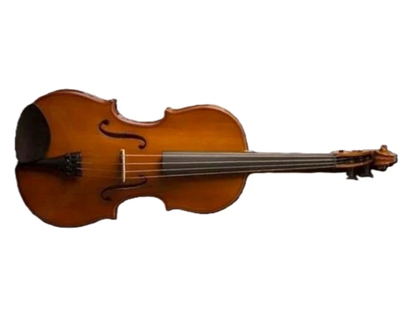 Valencia VA16041 Viyola 16 İnç (Öğrenci Seti) | 40.6 cm - Hafif Kutu - Başlangıç İçin İdeal ürün görseli 1