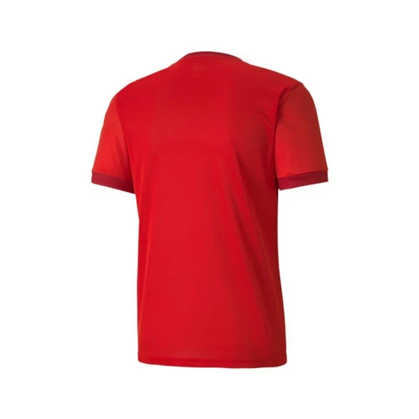 Puma 704171 Teamgoal 23 Jersey - Resim 2