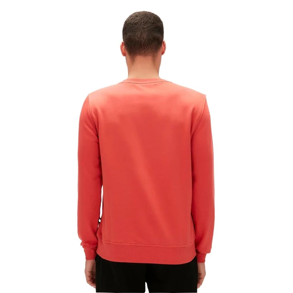 Bad Bear Logo Crewneck Sweatshirt Tarçın - Resim 3