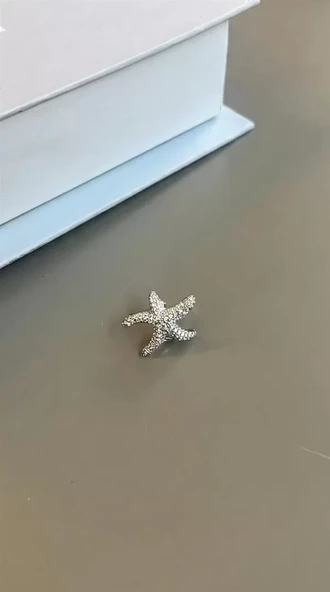 Deniz Yıldızı Kıkırdak Küpe - Gümüş ürün görseli 1